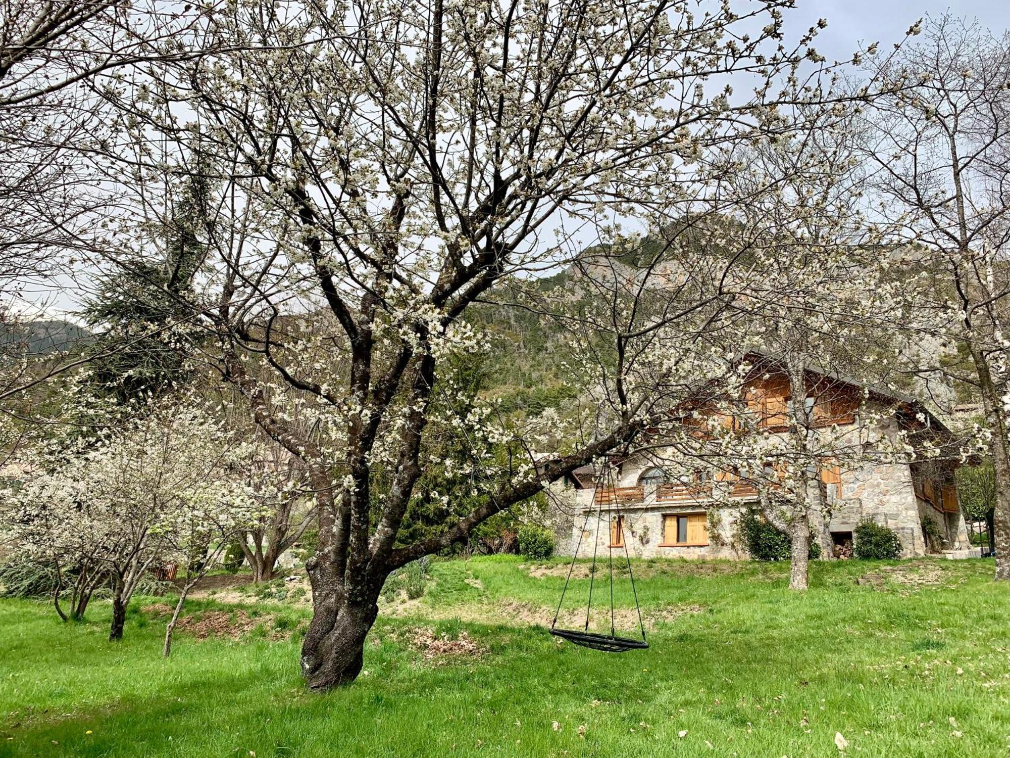 Chalet Le Tilleul Valdeblore Exterior foto